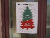 В Феодосии прошла акция #СохранимЛес 