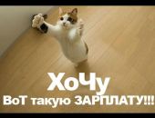 В Роструде рассказали, на какую зарплату претендуют жители Крыма и других регионов России