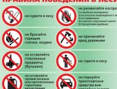 В грядущие праздники феодосийские леса будут усиленно патрулироваться