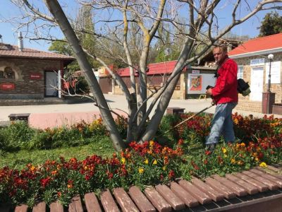 � ��������� ������� � ������� ������� ������������ ��������