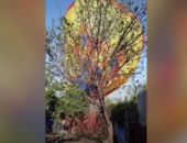 ������������ ������� ����������� ����� � ����� ����������� � �������� ���������� ���� � �������� (�����)