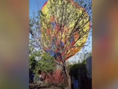 ������������ ������� ����������� ����� � ����� ����������� � �������� ���������� ���� � �������� (�����)