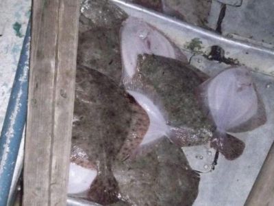� ����� ������� ���������� � ������ ������� (����)