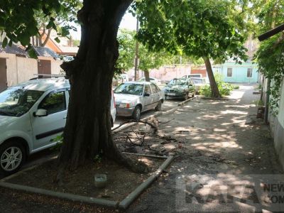 � �������� ������ ������ � �����