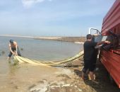 В Феодосийское водохранилище выпустили 20 тысяч мальков рыбы