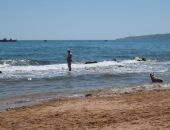 В Крыму вода в море прогрелась до +17, теплее всего она в Керчи
