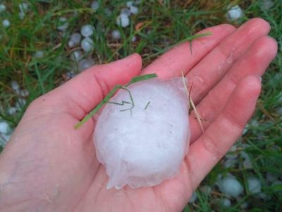 �������� � ����� ���� �������� 3,5 ������ �������� �������������