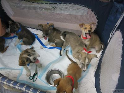 � �������� ������ ����� �� ������� ��������� ������