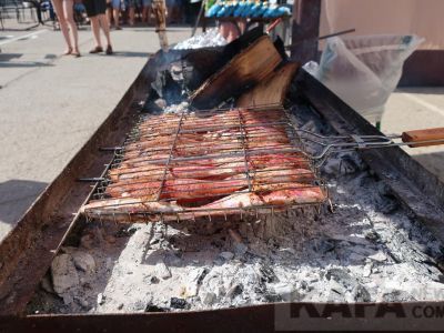 � �������� ��������� ��������� ������ ����� �����������