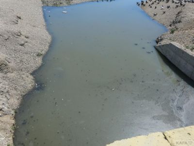 ��������, ����, ����� ������