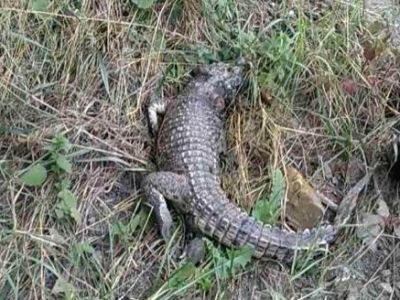 � ����������� ������ ����� ������ ��������� 
