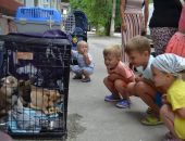 В Феодосии прошла очередная акция "В добрые руки" 