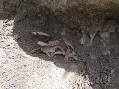 � �������� ������ ��������� ���������� �������� �����������
