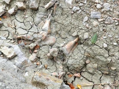 � �������� ������ ��������� ���������� �������� �����������