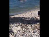 �� ����� ��������� ������ ���� ����������� (�����)
