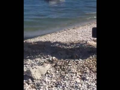 �� ����� ��������� ������ ���� ����������� (�����)