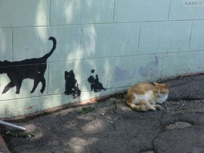 ��������, �������� �� ���������