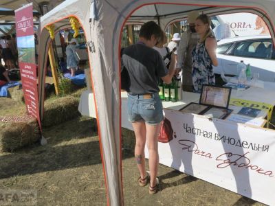 � ��������� ��������� III ������ ��������� In Vino Veritas (�����)