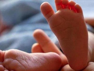 ��� �������� � ���� �������: 37-������ ������� � ���������� ������ ������� ������������ ����� �����������