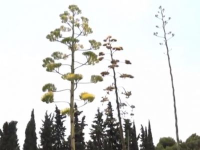 ������������ ���� � �����: � ��������� ������� ������ ���� � ����������� �����