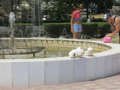 � �������� ���������� � ��������� � ��� ������