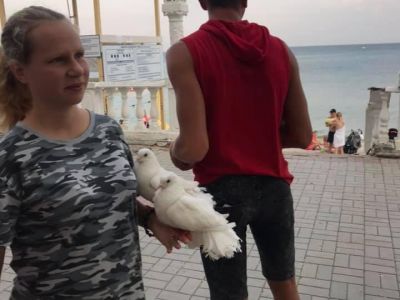 � ������ � ���� ���