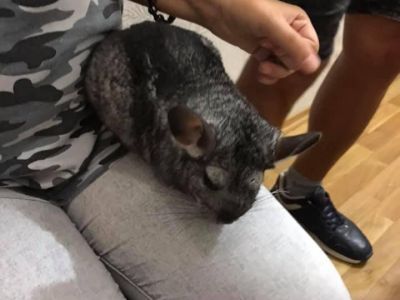 � ������ � ���� ���