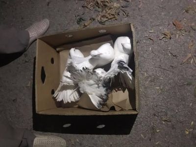 � ������ � ���� ���