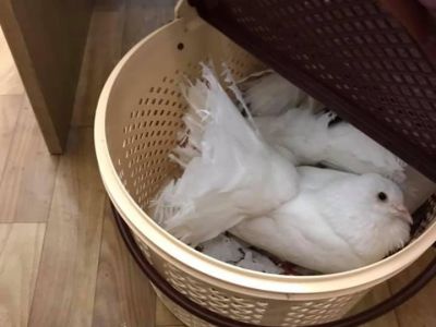 � ������ � ���� ���