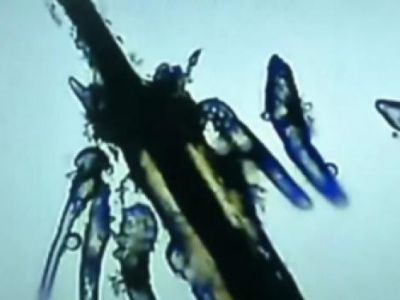 �� �������� ������� ������������ �����, ������ ��� ��� ����������� ������� ������