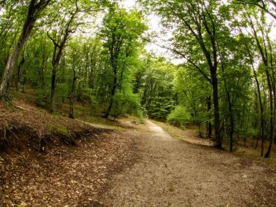 � �������� ����� ������ ������ ��������������� �����