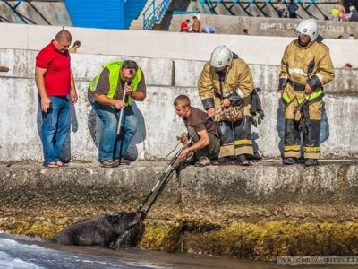 �� ��� ����� ����� ����� �� ����������, ���� ������� � ����� �������� � ���� (����) (���������)