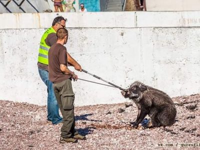 �� ��� ����� ����� ����� �� ����������, ���� ������� � ����� �������� � ���� (����) (���������)