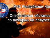 В Крыму за сутки случилось 20 пожаров