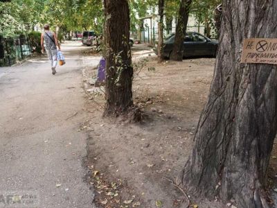� �������� ���� ������ � ����������� ����������
