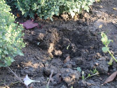 � �������� ������������� ������� �������� ����� ������� 
