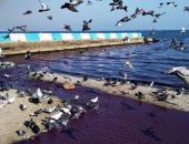 � �������� � �������� ����� ����������� ���������� ��������