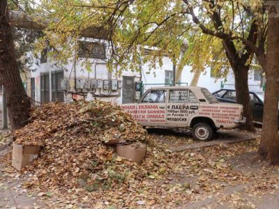� �������� �������� �������� ���������� �������