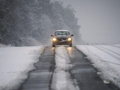 ���������, ������� ���� ������� ����� � ������� 2019 ����
