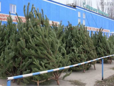 � �������� ���������� ������� ���������� ����