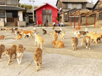 ������������