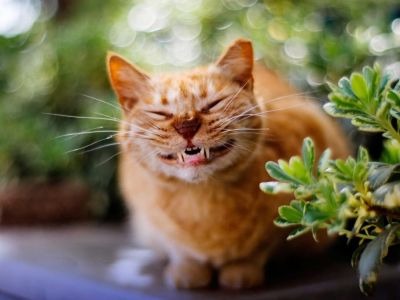 ������������