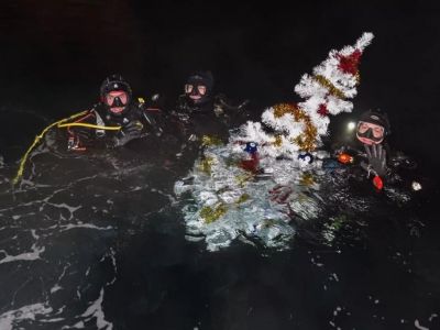 ���������� ���� �� ��� ������������� ������