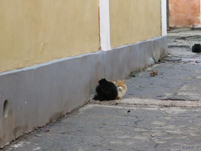 ���� ������ ����: �����, �����, ����� ��������� � ����
