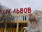 На совещании в Москве определились с дальнейшей судьбой крымского парка львов "Тайган"