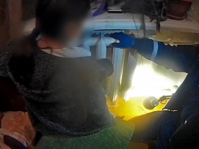����� � ����������� ��������� ���������� �������, � ������� ���� �������� � �������
