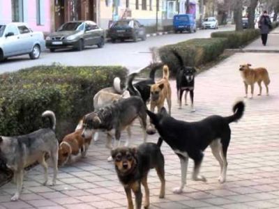 � �������� ���������� ������ �� ��������� �����