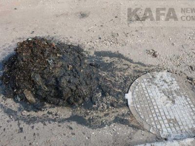 � �������� �������� ������ �� ������ �����������