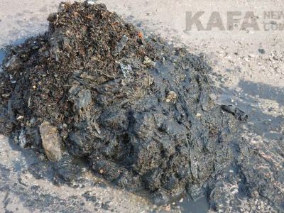 � �������� �������� ������ �� ������ �����������