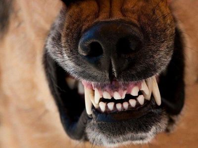 � ����������� ���� �������� ����� ������ �� ������� � �����